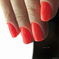 lak lab nails&beauty на мичуринском проспекте изображение 1