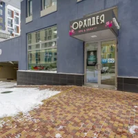spa & beauty "орхидея" изображение 13