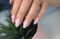 ногтевая студия pronails изображение 2