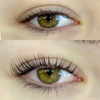 салон красоты анатомия изображение 7